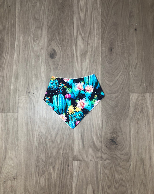 Colourful cactus - 0-3 months