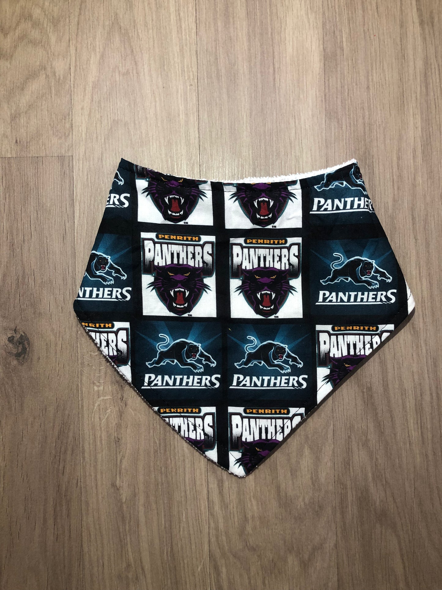 Panthers - footy